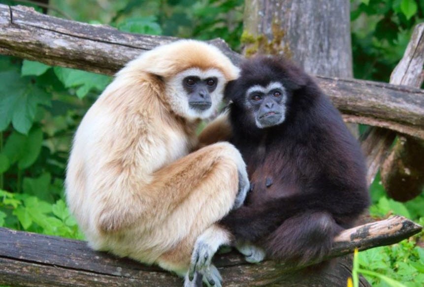 Inangki National Park